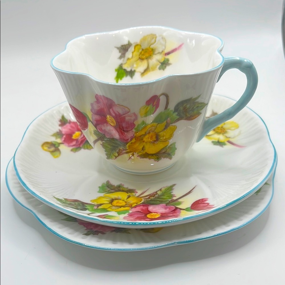 Shelley Bone China Begonia Trio